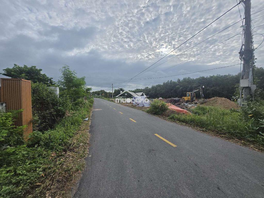 Bán đất ven biển phước hải lô 2 mặt tiền 234m² giá chỉ 2,2 tỷ - Ảnh 3