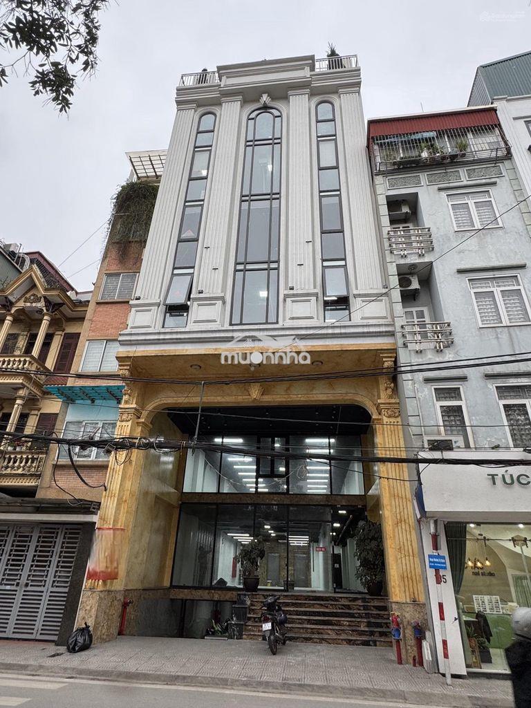 Tòa nhà văn phòng đường lê trung nghĩa. khu k300. 8x20m. hầm - 5 tầng
