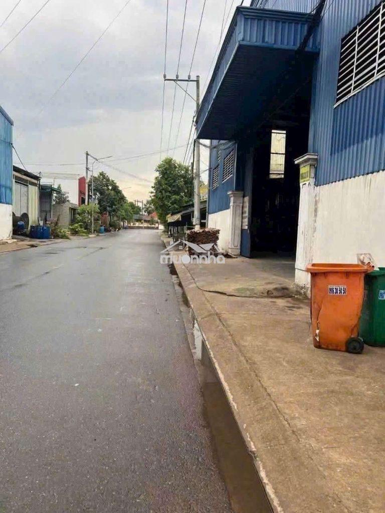 Cho thuê xưởng tân uyên bình dương - 3