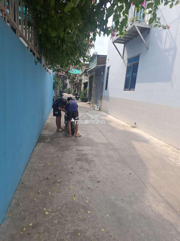 Kê khai  riêng  hẻm  5m thông 7×13 - Ảnh 3