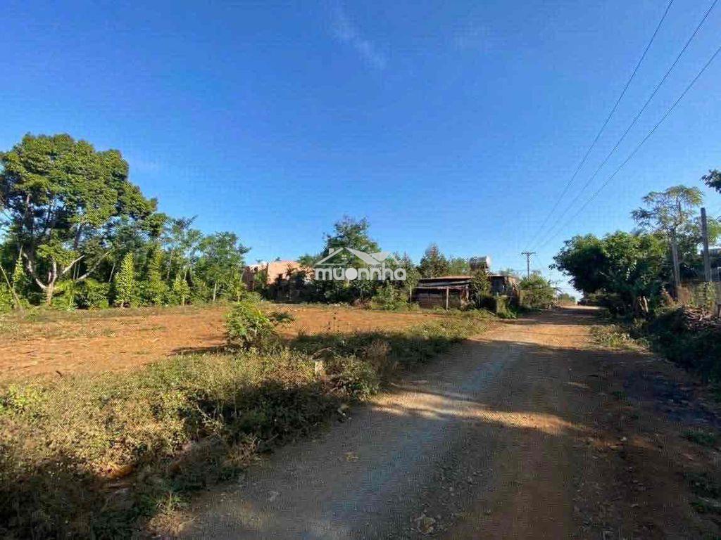 Cần bán lô đất buôn tara hoà đông - 2