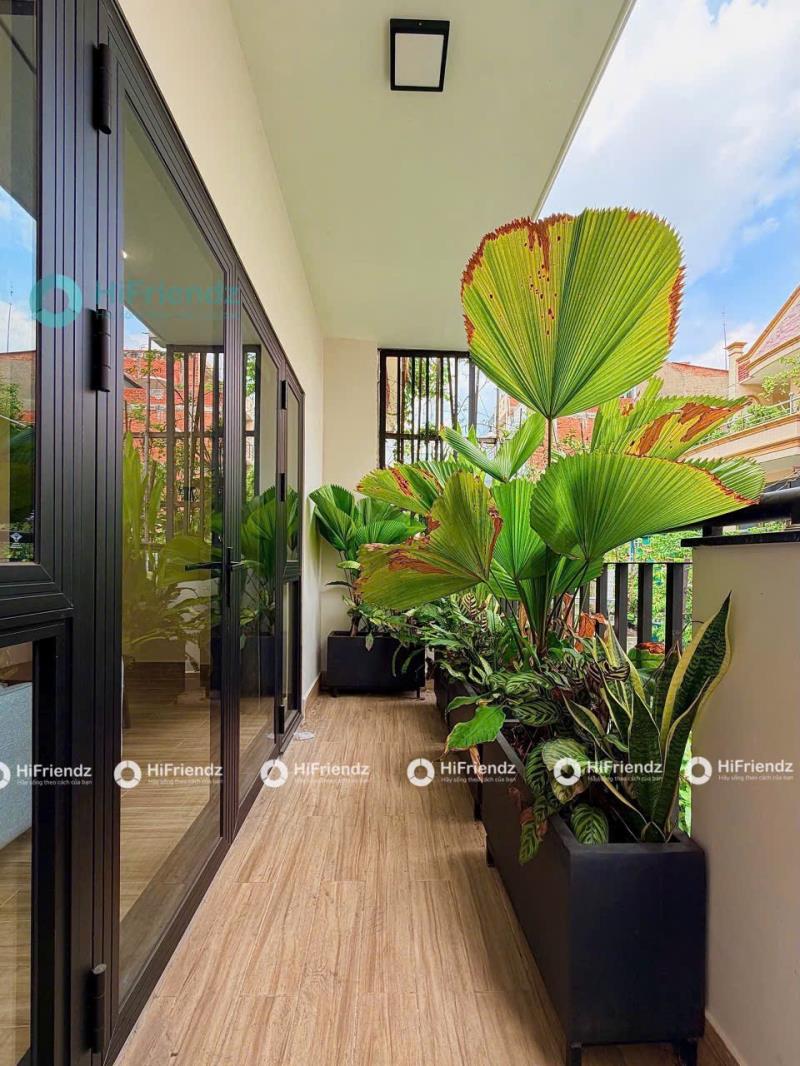 🏡 Cho thuê căn hộ đồ sơn tân bình | ban công siêu rộng, siêu chill | khu tắm vách kính | gần cộng hòa – etown – k300 – bảy hiền - Ảnh 2