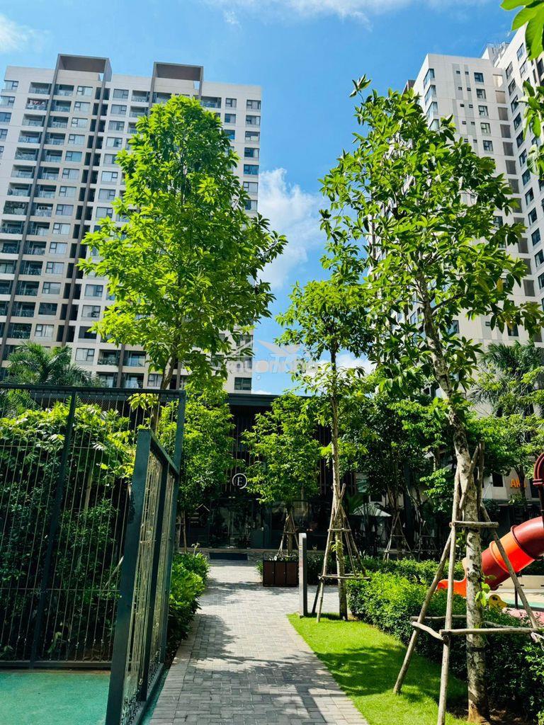 Cho thuê nhanh căn 2pn akari city 75m2 full nt giá 11tr - Ảnh 4