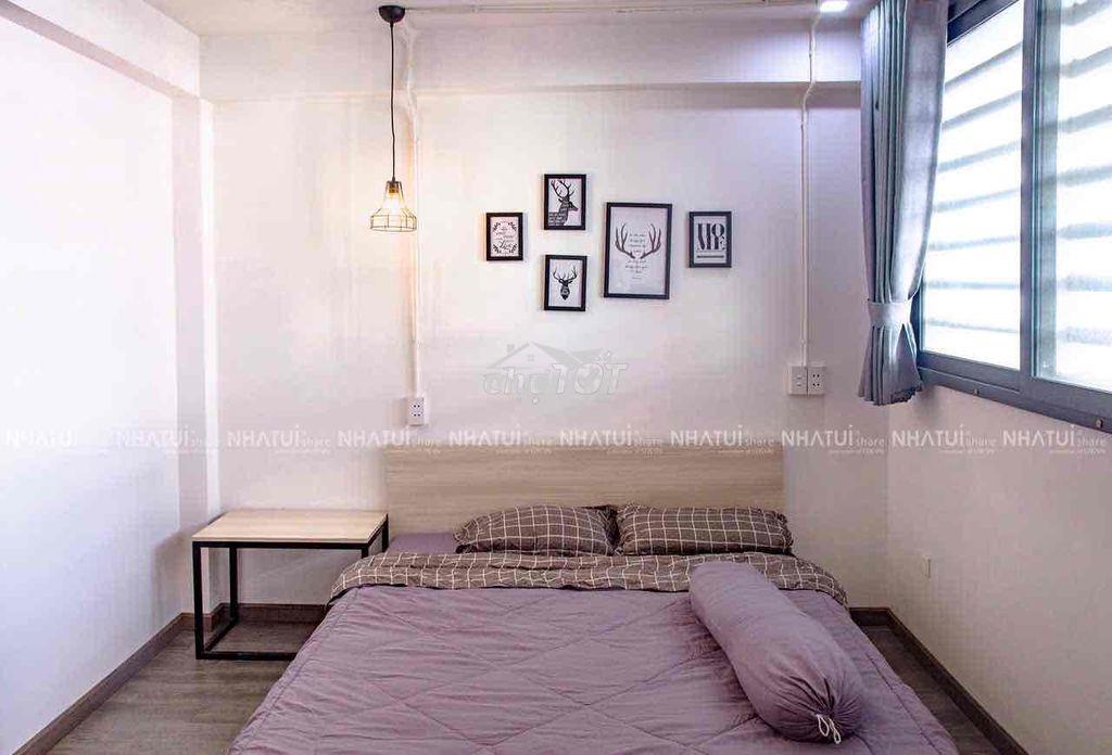 🔥Căn studio siêu hiếm ở đường hồng bàng - Ảnh 4