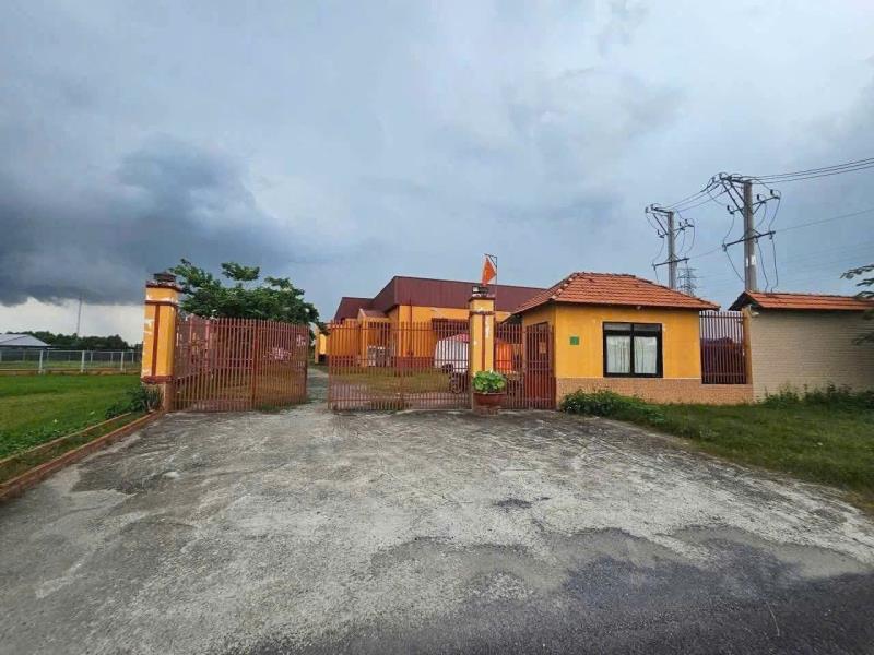 Bán nhà xưởng đường nhựa xe cont phước hiệp, củ chi 7000m2 ( 4660m2 thổ, xd 1900m2) 35 tỷ - Ảnh 3