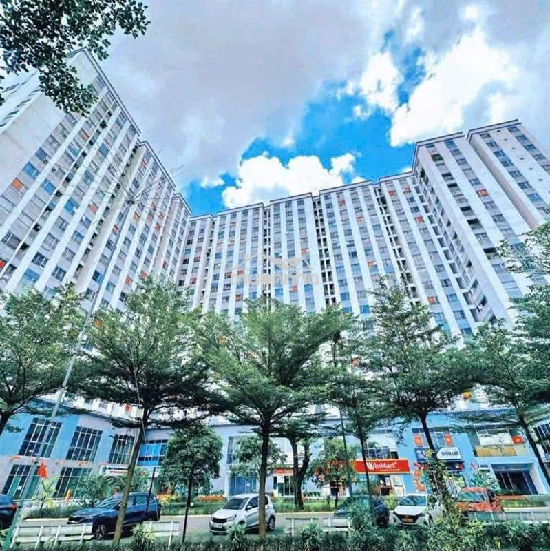 Cho thuê căn hộ zentower q12 2pn / 1wc 