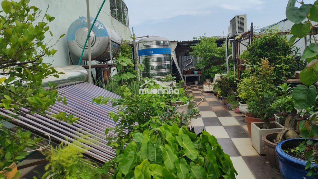 Bán nhà hxh đường nguyễn thái sơn, phường hạnh thông - tp.hcm - Ảnh 3