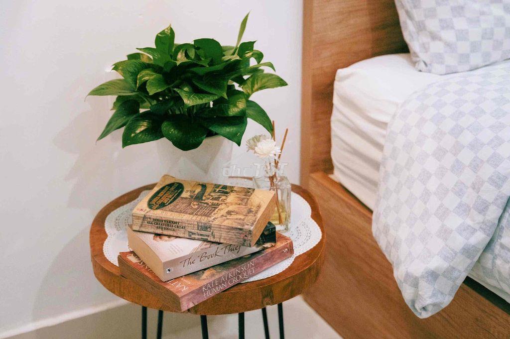 Cho thuê  studio full nt  q1 gần trung tâm thương mại,chợ,coffee - Ảnh 3