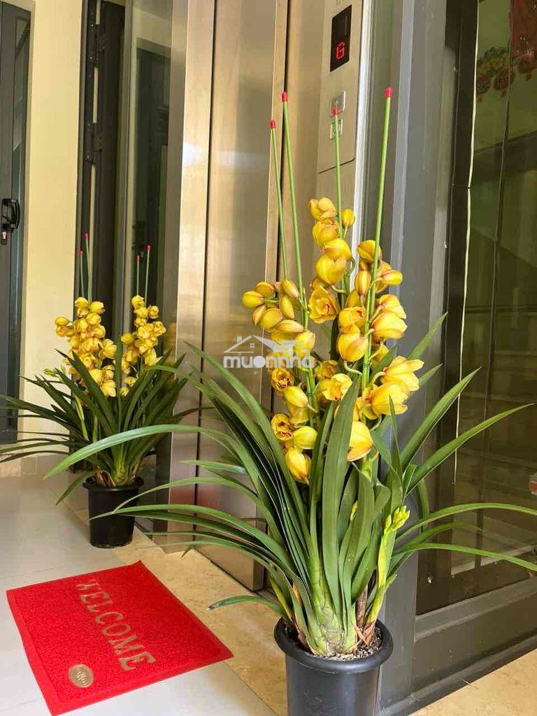 Chính chủ cho thuê căn hộ dịch vụ full nội thất mới đầy đủ tiện nghi t - Ảnh 2